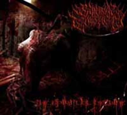 Suicidal Causticity The Spiritual Decline CD