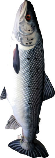 Fiskepute - Laks - Salmo Salar - 90 cm