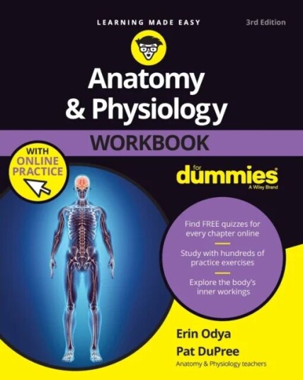 Anatomy & Physiology Workbook For Dummies With Online Practice Av Erin Odya, Pat Dupree