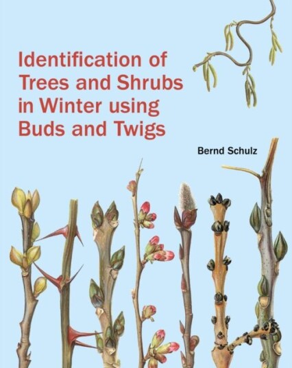 Identification Of Trees And Shrubs In Winter Using Buds And Twigs Av Bernd Schulz