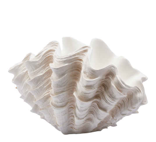 Konkylie vase 28,5x48,5x32 cm hvit