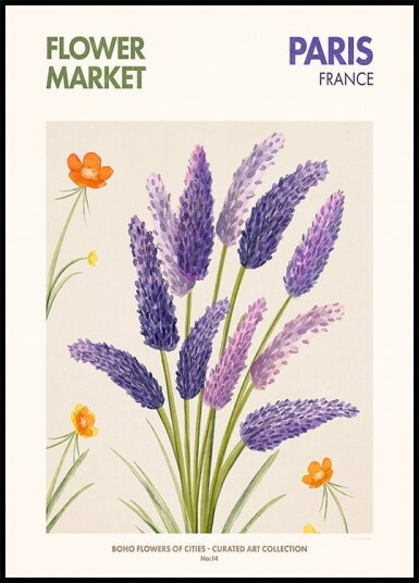 Lavender Blooms Plakat Plakat / 50x70cm
