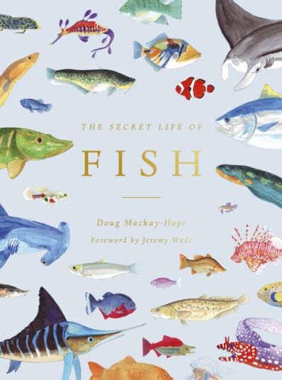 The Secret Life Of Fish Av Doug Mackay-Hope The Secret Life Of Fish Av Doug Mackay-Hope