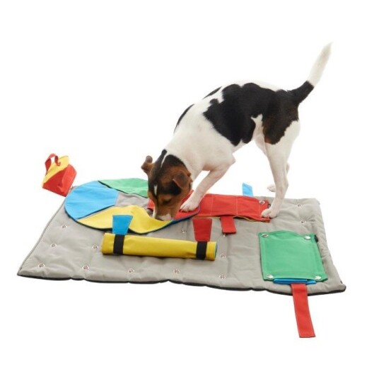 Buster Activitymat Startersett Aktivitetsmatte Hjernetrim Hund