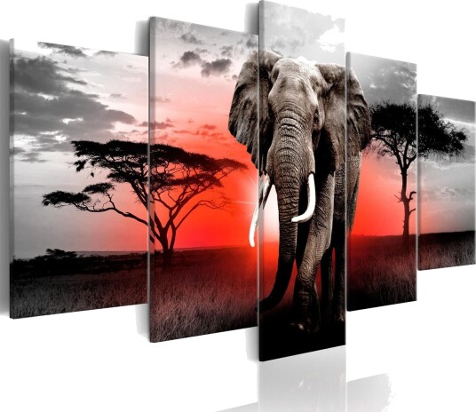 Bilde Lonely Elephant 200x100 Artgeist sp. z o. o.