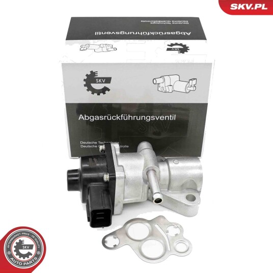 EGR Ventil ESEN SKV 14SKV282