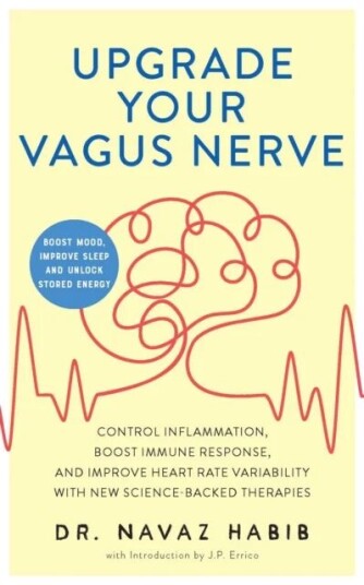 Upgrade Your Vagus Nerve Av Navaz Habib, J.P. Errico