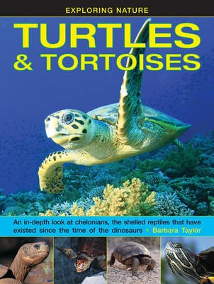 Exploring Nature: Turtles & Tortoises Av Taylor Barbara
