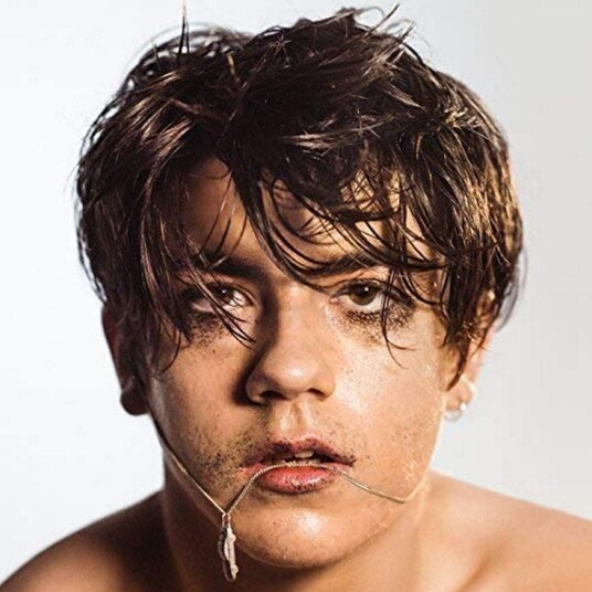 Declan McKenna What Do You Think About The Car? LP/Vinyl Declan McKenna What Do You Think About The Car? LP/Vinyl