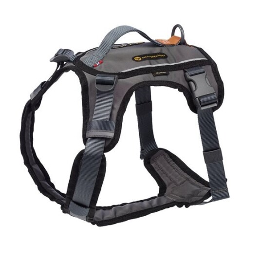 Seleverkstedet Comfort Dog Harness XL