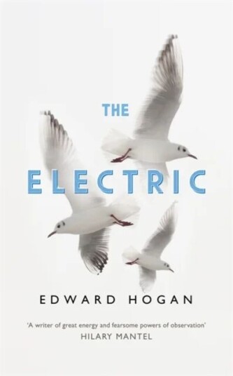 The Electric Av Edward Hogan
