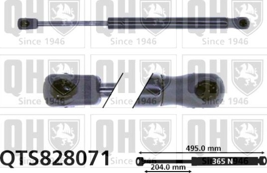 QUINTON HAZELL QTS828071 Baklukedemper