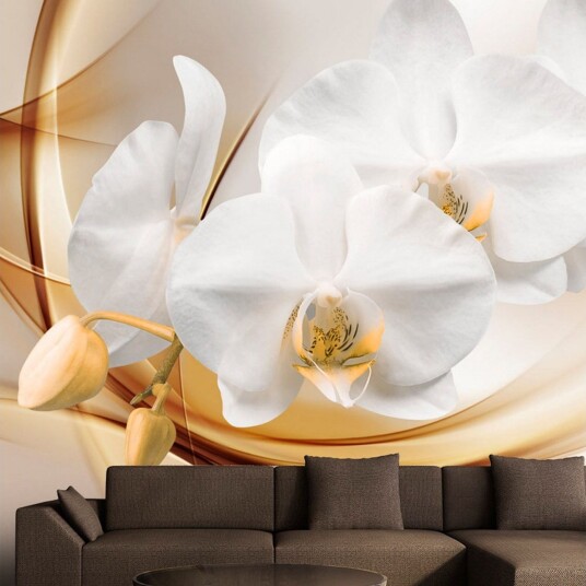 Fototapet Orchid Blossom 300x210 - Artgeist sp. z o. o.