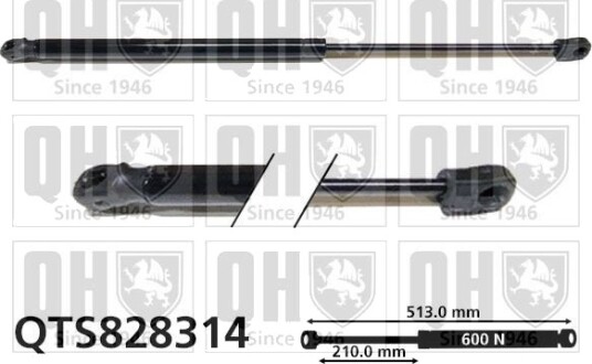 QUINTON HAZELL QTS828314 Baklukedemper