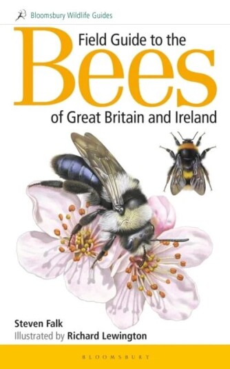 Field Guide To The Bees Of Great Britain And Ireland Av Steven (Author) Falk