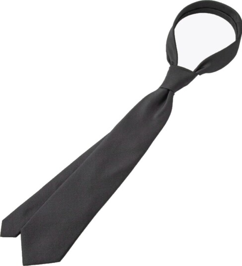 Rebeloup Solid Silk Tie Sort ONE SIZE