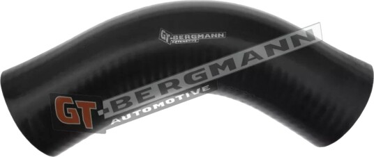 Ladeluftslange GT BERGMANN GT52 287