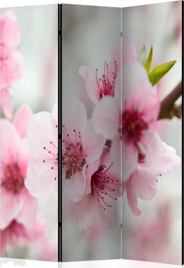Romdeler - Spring, blooming tree - pink flowers 135x172 - Artgeist sp. z o. o.