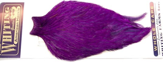 Whiting Am. Rooster Cape - Purple (White Dyed)