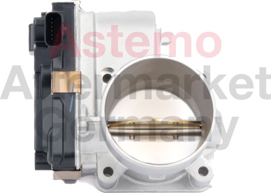 Gasspjeld HITACHI 2508598 Gasspjeld HITACHI 2508598