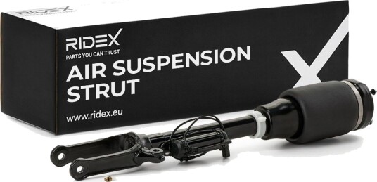 Luftdempere RIDEX 4118A0178