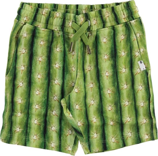 Molo Shorts   Arnt   Cactus   Molo   2 år 92   Shorts   Grønn