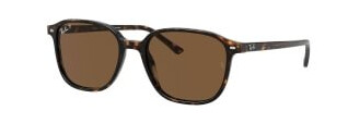 Ray-Ban Leonard RB2193 902/57 53 Ray-Ban Leonard RB2193 902/57 53