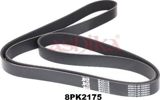 ASHIKA 112-8PK2175 Multireim