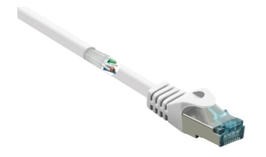 Renkforce Rf-5047448 15 M Cat6a S/Ftp S-Stp Rj-45 Rj-45