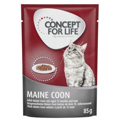 48 X 85 G Concept For Life 100 Kr Rabatt Maine Coon Adult Ragout-Kvalitet