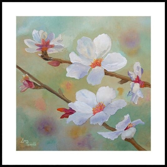 Almond Blossoms Iii Plakat Plakat / 100x100cm