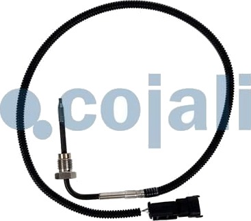 Sensor, eksostemperatur COJALI 2263041