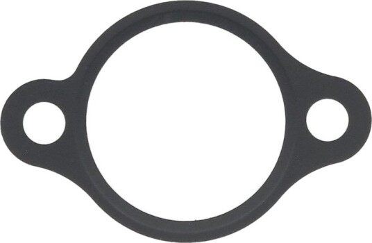 Tetning eksosmanifold ATHENA S410210078011