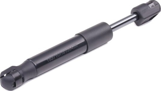 RIDEX 219G0210 Baklukedemper