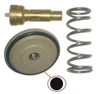 Termostat MAGNETI MARELLI 352317003470
