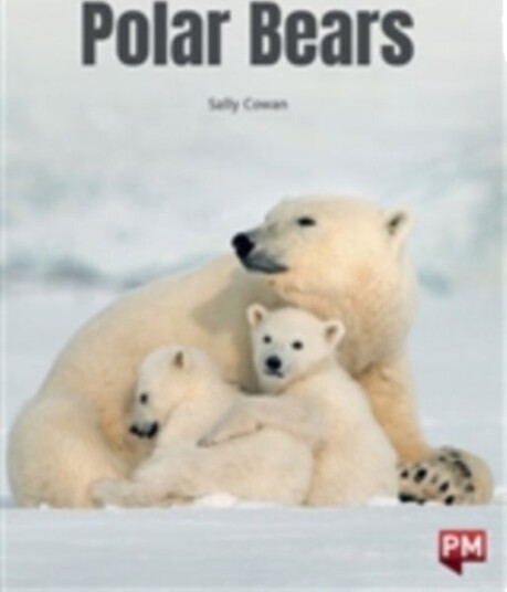 Polar Bears