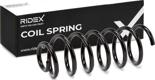 RIDEX 188C0282 Fjær