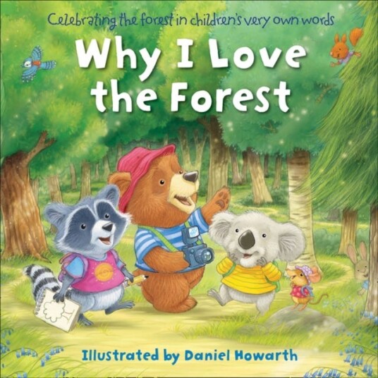 Why I Love The Forest Why I Love The Forest