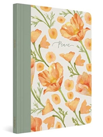 ESV Prayer Journal 30 Days on Peace (Paperback)