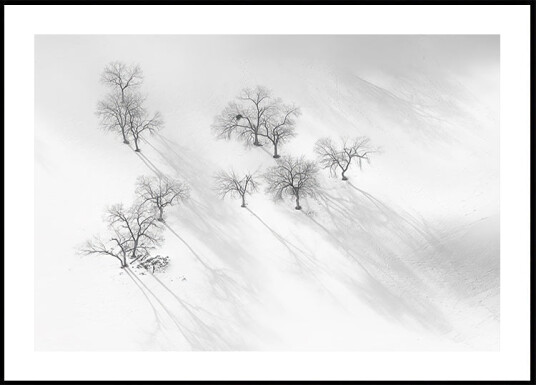 Winter dream a still ballet Plakat Plakat / 21x30cm Winter dream a still ballet Plakat Plakat / 21x30cm