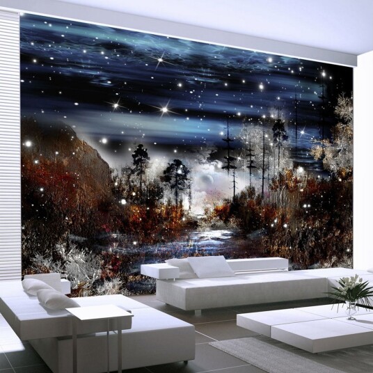 Fototapet Night In The Forest 300x210 - Artgeist sp. z o. o.