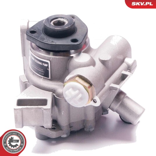 Servopumpe ESEN SKV 10SKV236