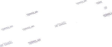 Buhnen Limstifter Transparent 11,2×200 Mm Buhnen