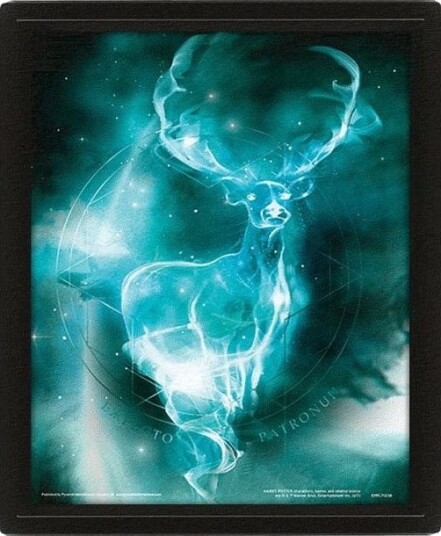 Pan Vision Patronum Billede 3D Pan Vision Patronum Billede 3D