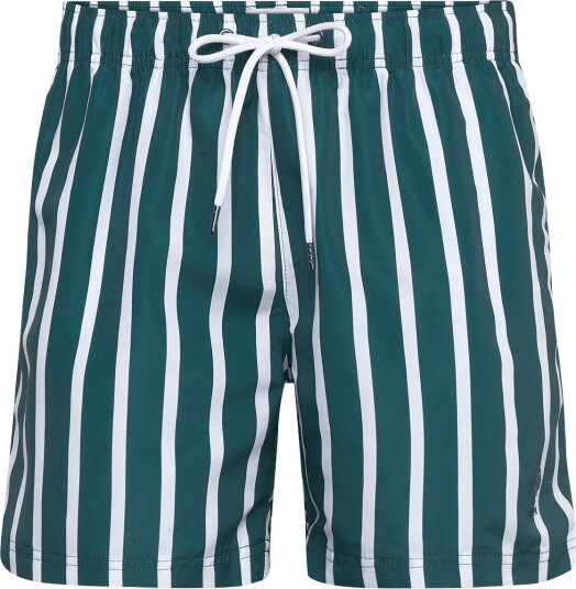 U.S. Polo Assn. | Umcharles Swim Short Wvn | L
