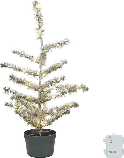 Sirius Home Alfred Cedertree - Green - H:60CM Sirius Home Alfred Cedertree - Green - H:60CM