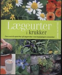 McIntyre Anne Lægeurter i krukker