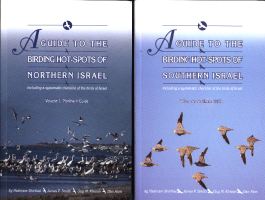 A Guide to the Birding Hotspots of Israel