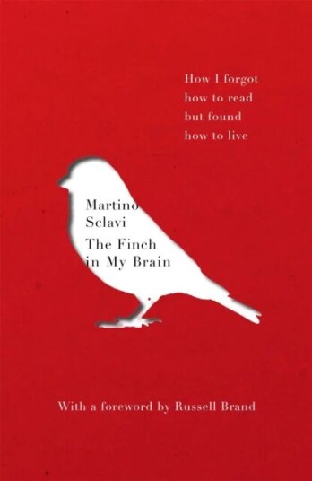 The Finch In My Brain Av Martino Sclavi