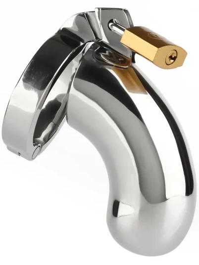Mr. Steel The Brig Male Chastity Device